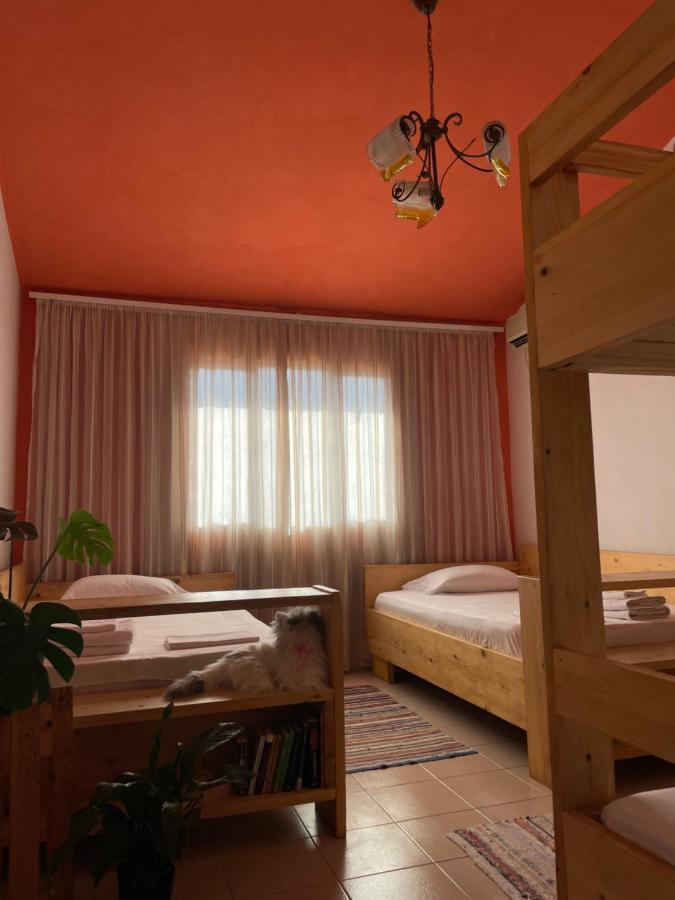 Cozy Big Apartment With Balcony ティラナ エクステリア 写真