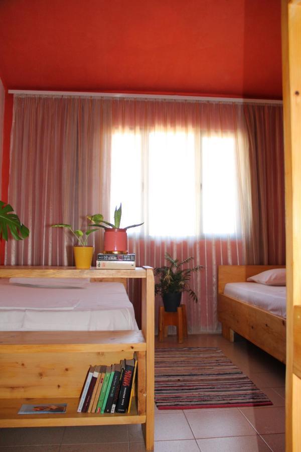 Cozy Big Apartment With Balcony ティラナ エクステリア 写真