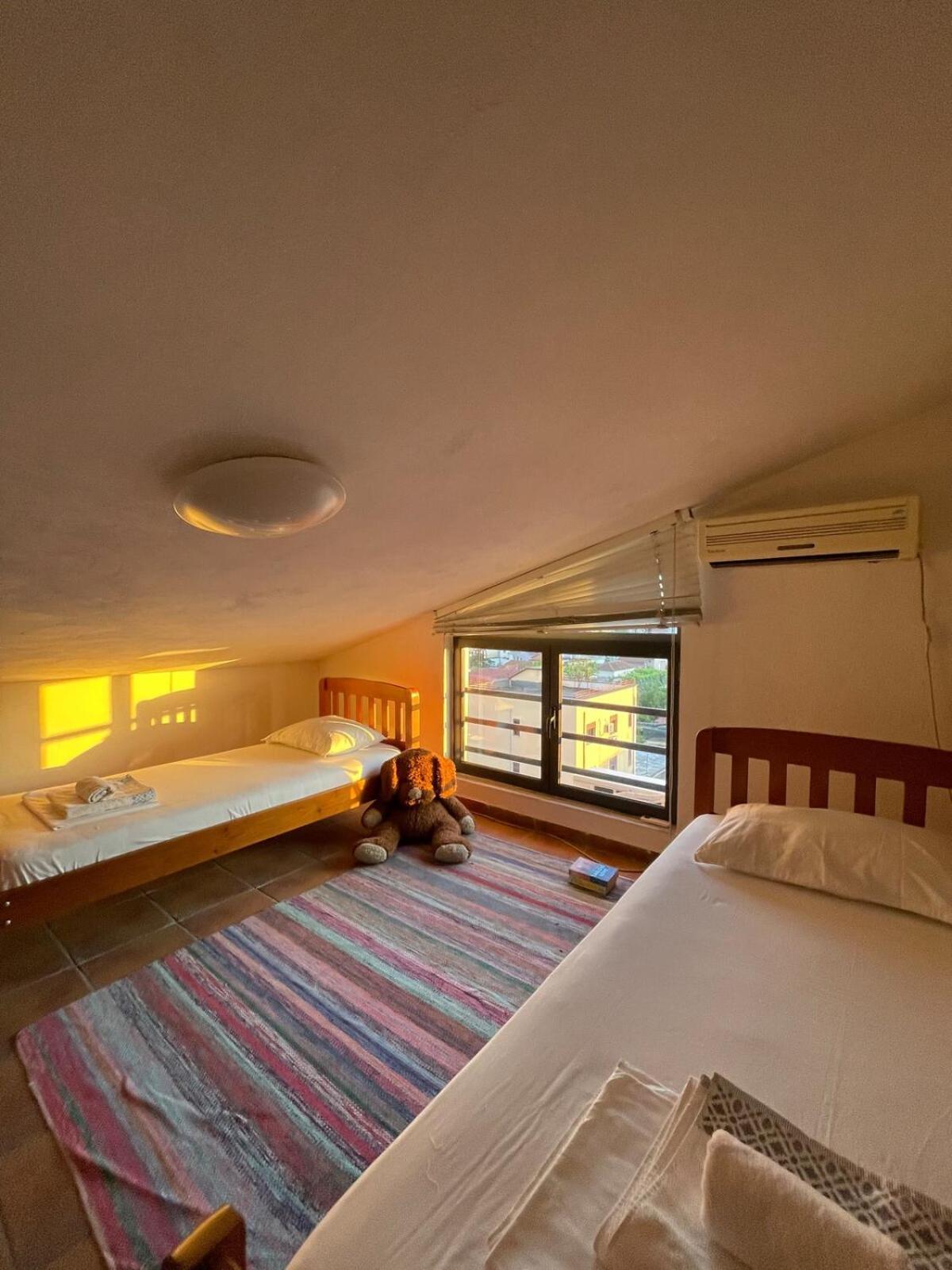 Cozy Big Apartment With Balcony ティラナ エクステリア 写真